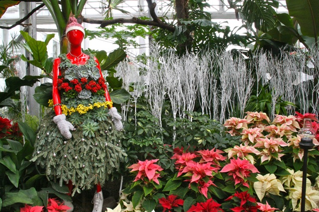 Allan_Gardens_during_Christmas_Flower_Show_2015_toronofunplaces.com_1