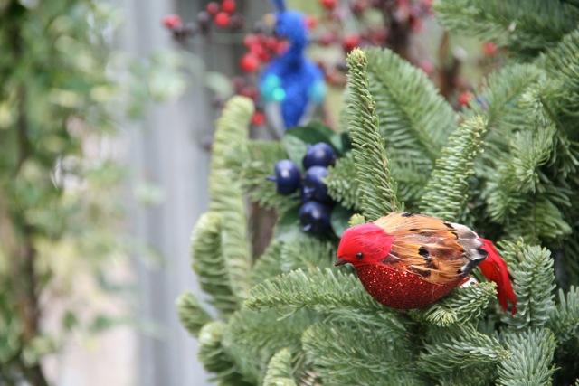 Allan_Gardens_during_Christmas_Flower_Show_2015_toronofunplaces.com_17