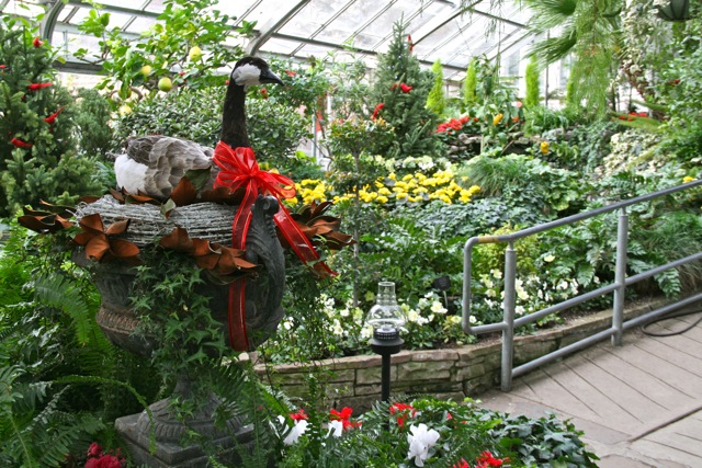 Allan_Gardens_during_Christmas_Flower_Show_2015_toronofunplaces.com_22