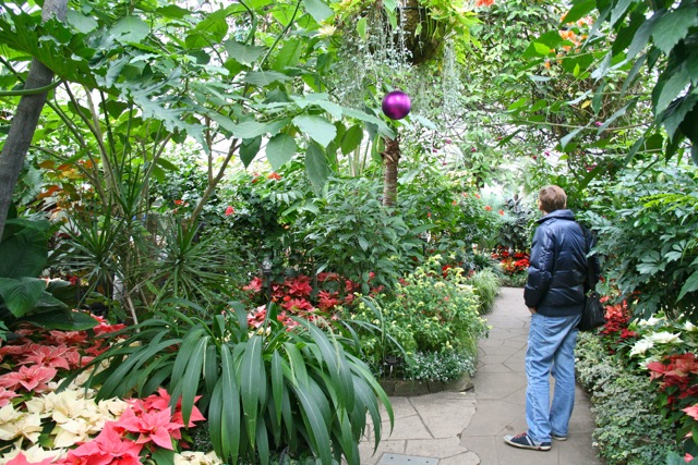 Allan_Gardens_during_Christmas_Flower_Show_2015_toronofunplaces.com_23