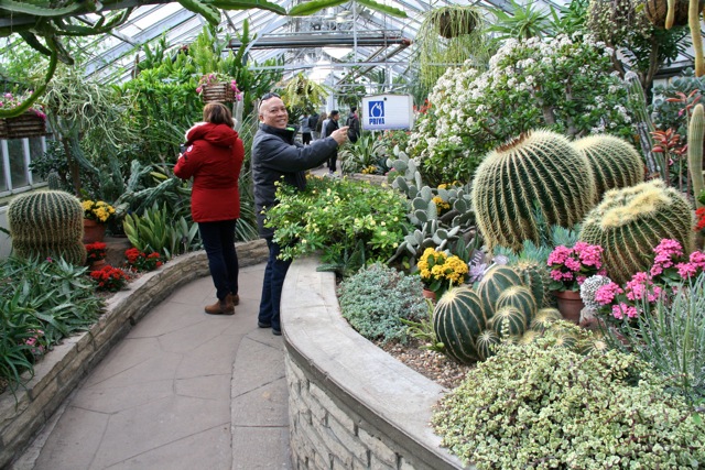 Allan_Gardens_during_Christmas_Flower_Show_2015_toronofunplaces.com_26