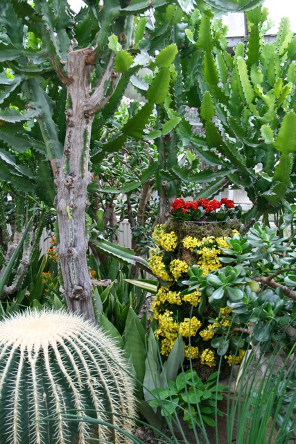 Allan_Gardens_during_Christmas_Flower_Show_2015_toronofunplaces.com_28