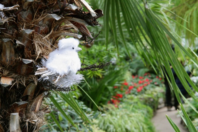 Allan_Gardens_during_Christmas_Flower_Show_2015_toronofunplaces.com_7