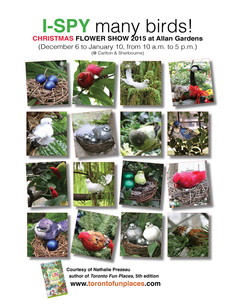 I-Spy_game_Christmas_Flower_show_at_Allan_Gardens_Dec_2015_copy