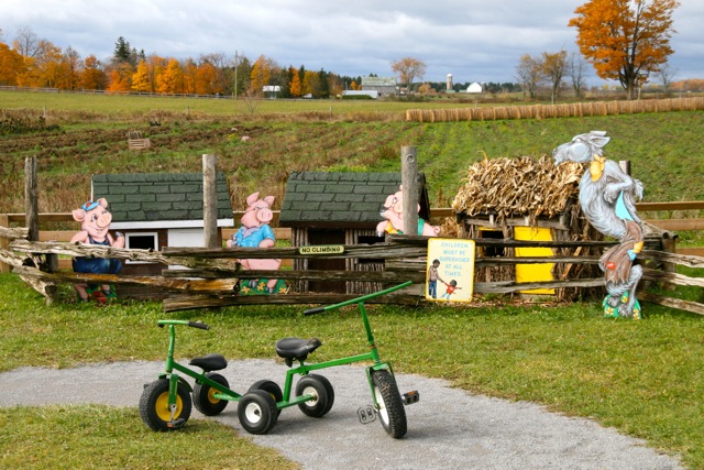 Forsythe Family Farms